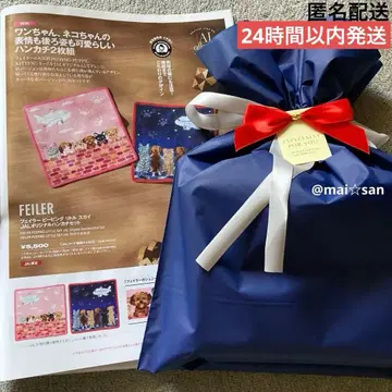 JAL 페이 핑 리틀 스카이 오리지널 손수건 세트