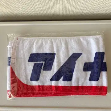 아이나 지 엔드 타월