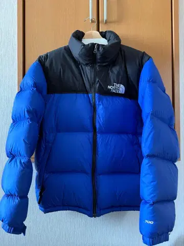 THE NORTH FACE 눕시 다운 자켓