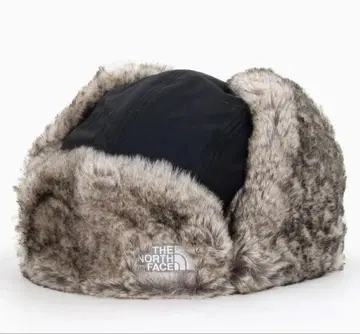 THE NORTH FACE 플라이트 캡 그레이