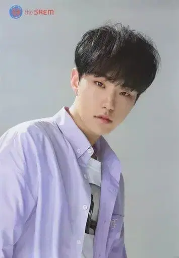 SEVENTEEN 세부치 호시 포스터