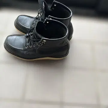 레드윙 클래식 처커 자수 깃털 택