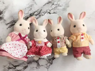 쇼콜라 토끼의 패밀리