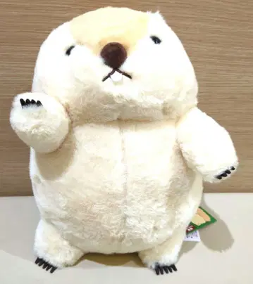 택 포함 새상품 마모트의 모토토 구이인 점보