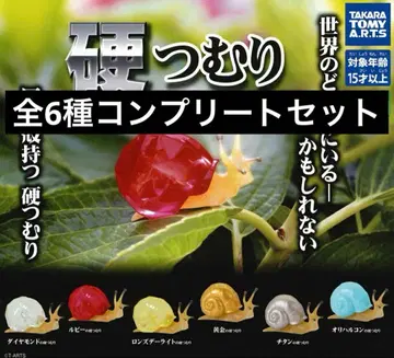 경침 컴플리트 세트