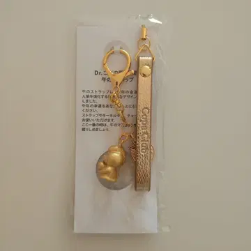 [ 새상품 미사용품 ] Dr. 코파 개운의 말 스트랩 & 키링