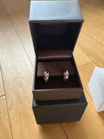 플라티나 900 후프 귀걸이