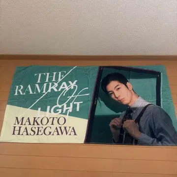 하세가와 신 빅 타월