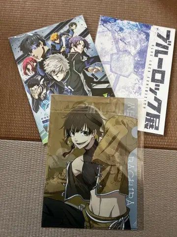 블루 록 팜플렛 클리어 파일 세트