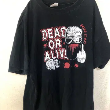 카사이 준 T셔츠 XL DEAD mOR ALIVE