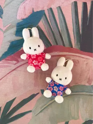 Kira x Miffy 키라미피 하와이 한정판 본톤토이즈 키링