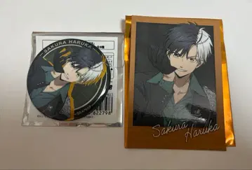 WINDBREAKER 사쿠라 하루카