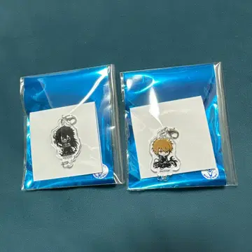 BLEACH 쿠로사키 이치고 무월