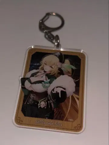 컴퍼스 스텔리아 파이리츠 파티