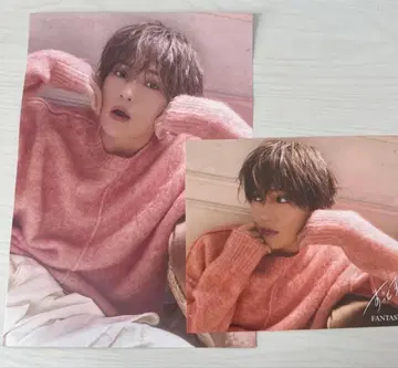 야기 유세이 아더 자켓 플라이어