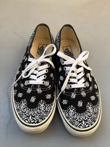상자 없음 VANS Authentic