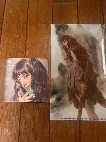 12왕국기 샹테 티켓 홀더 코스터 1매 포함 유즈카 빛 새상품