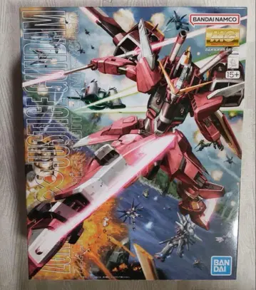 MG 1/100 인피니트 저스티스 건담