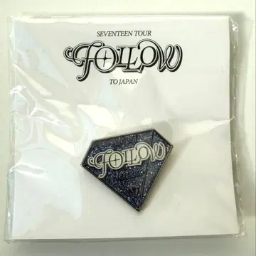 SEVENTEEN 세븐틴 FOLLOW 콘 PINS