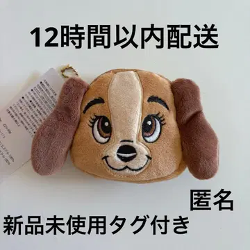 아베일 디즈니 레이디 코인 케이스