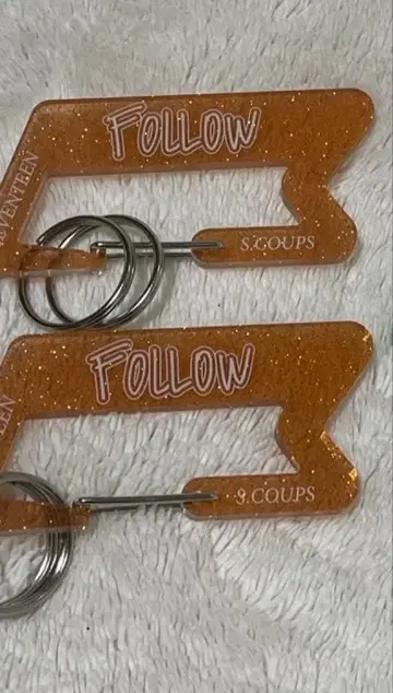 FOLLOW 에스크 카라비너 키링