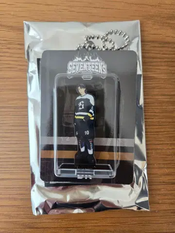 SEVENTEEN HOME 아크릴 키링 DK 도겸