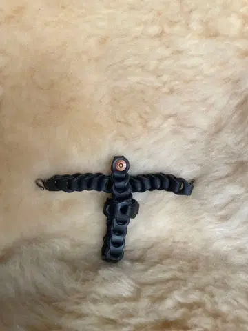 하오리히모 il micio