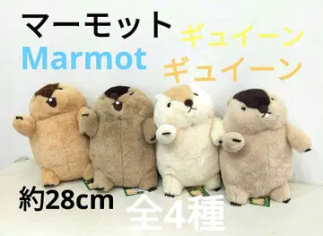 레어 마모트의 모토토 이인JB 새상품 컴플리트