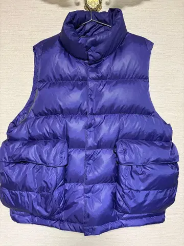 DAIWA PIER 39 TECH BACKPACKER DOWN VESTM