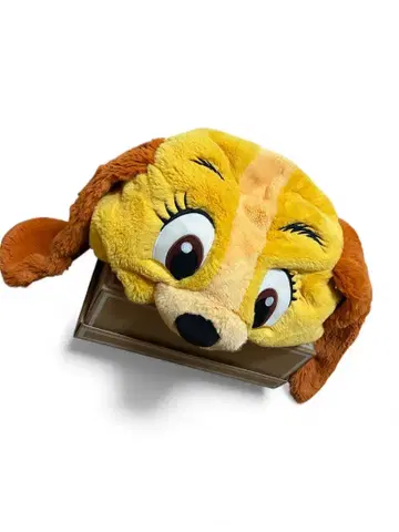 [ 익명 배송 ] 레이디 와 함께하는 팬캡