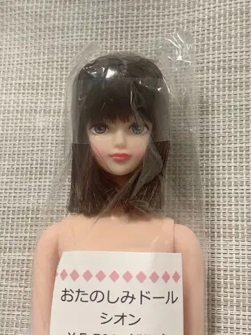 오타노시미 인형 시온 본체 리카짱 캐슬 새상품