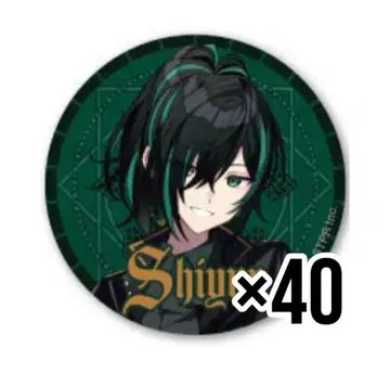 시윤 캔뱃지 최종 결전 등신 40개 기사A 기사X