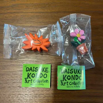 콘도 다이스케 꽃 태양