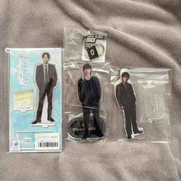 아야노 고 아크릴 스탠드 묶음 판매