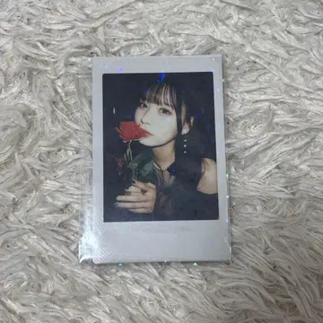 CANDYTUNE 타치바나 코토미 생일 축하 한정판 솔로 폴라로이드