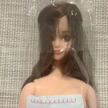 오타노시미 인형 리에 본체 리카짱 캐슬 새상품