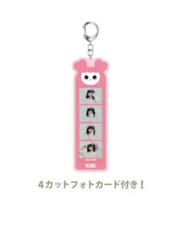 4컷 사진 홀더 [ MOMO ]