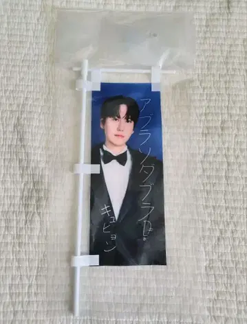 SUPERJUNIOR SUPERSHOW10 굿즈 20주년 배너 규현