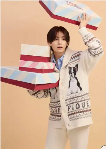 파우더 노르딕 DOG 자카드 카우친 젤라피케