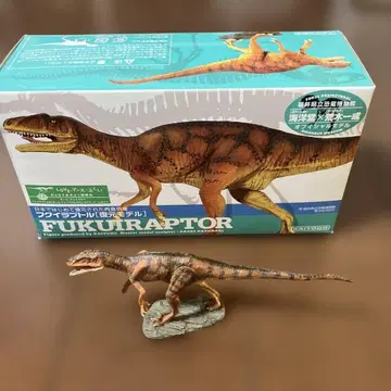 푸쿠이라프토르 복원 모델 카이요도 후쿠이현립 공룡 박물 아라키 잇세이