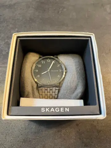 SKAGEN 그레이 아날로그 손목시계