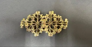 꽃 모티브의 골드 컬러 브로치