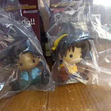 명탐정 코난 페타도르 하인성, 서가영