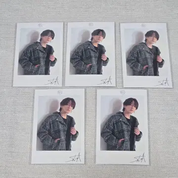 시마 폴라로이드