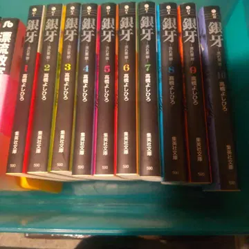 은아 1~10 별똥별 은 전권 (문고본)