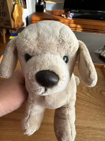 영화 쿠이 개 봉제 인형