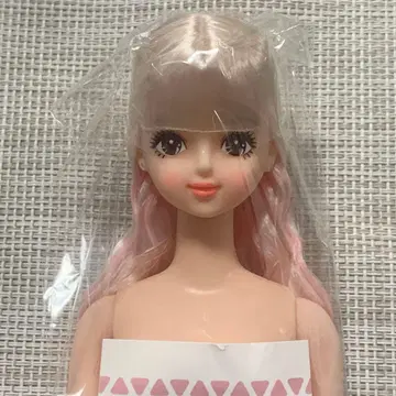 즐거운 인형 사야카 리카짱 캐슬 새상품