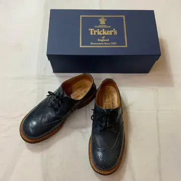 트리커스 더비 브로그 슈즈 M7457