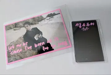 StrayKids 리노 DOIT 거울 엽서