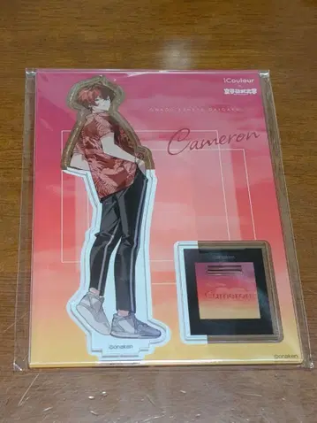 여자 연구 대학 iCouleur 아크릴 스탠드 캐머론